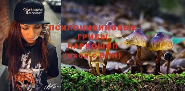 молекула духа Алексин