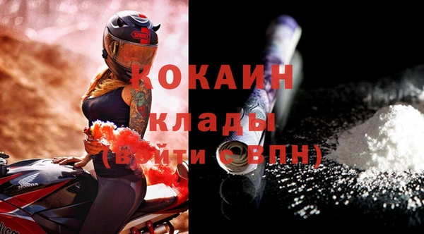 молекула духа Алексин
